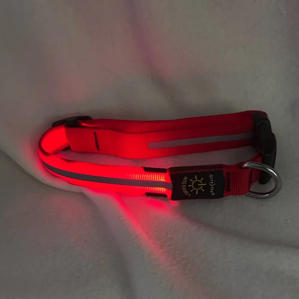 Nite Dawg Light up dog collar red large